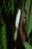 DSC_8442.JPG