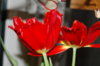 DSC_8448.JPG