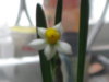 2015-02-23 16-31-22.JPG