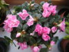 DSCN7483.JPG