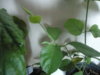 DSC04123.JPG
