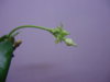 DSC04130.JPG