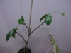 DSC04128.JPG