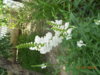 DSCN3726.JPG