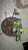 2015-02-28-088.jpg