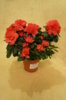 DSC01544.JPG
