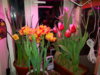 20150301_180911.jpg