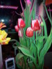 20150301_180904.jpg
