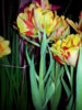 20150301_181006.jpg