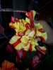 20150304_120244.jpg