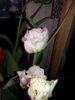 20150304_120255.jpg