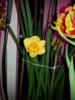 20150301_181011.jpg