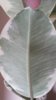 20150305_111819.jpg