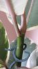 20150305_111936.jpg
