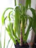 DSC05801.JPG