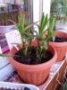 20150314_120219.jpg