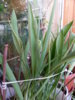 20150314_120229.jpg