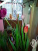 20150218_121010.jpg