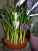 20150118_114408.jpg
