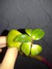 20150316_193744.jpg