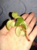 20150316_193708.jpg