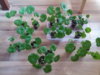 20150317_163606_resize.jpg