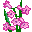 flowers-568.gif