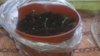 20150321_115952.jpg
