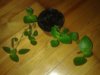 20150322_145513.jpg