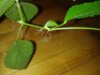 20150322_145548.jpg