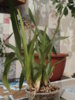 DSC09565.JPG