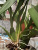 DSC09566.JPG