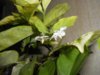 DSCN0489.JPG