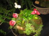 IMG_3581.JPG
