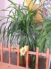 DSCN1595.JPG