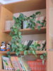DSCN1597.JPG