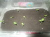 DSCN9827.JPG