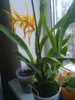 IMG_20150404_174433.jpg