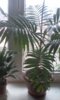 20150407_093921.jpg