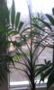 20150407_094014.jpg