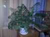 20150407_214645.jpg