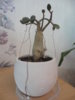DSC05544.JPG