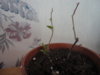 DSC05547.JPG