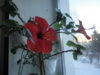 DSC05321.JPG