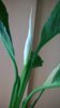 WP_20150410_16_58_17_Pro.jpg