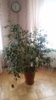 20150407_093346.jpg