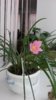 20150414_120624.jpg
