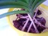 DSCN3949.JPG