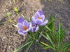 2015-04-12 17-59-34.JPG