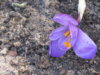 2015-04-12 18-02-19.JPG